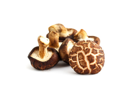 fresh shiitake mushroom on whiteの写真素材
