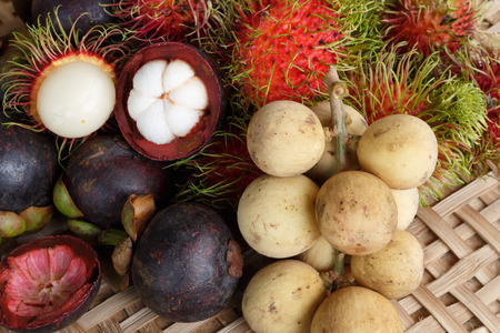 mixed fresh fruit,mangosteen,rambutan and wollongongの写真素材