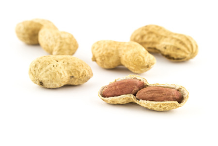 roasted peanut on white