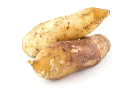 fresh yacon on whiteの写真素材