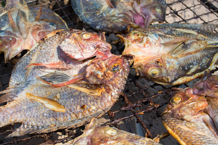 grilled fish on a grille