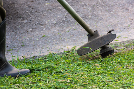 Mower was working by worker