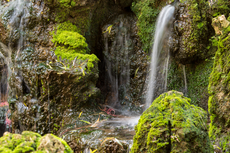 moss Grow up in waterfall Areaの写真素材