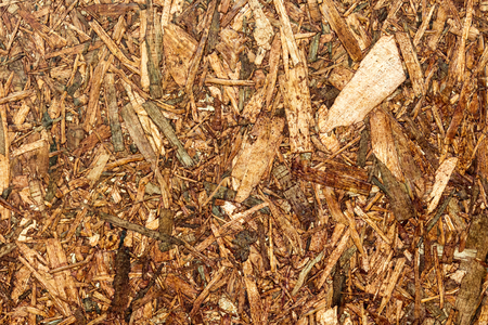 The surface of the plywoodの写真素材