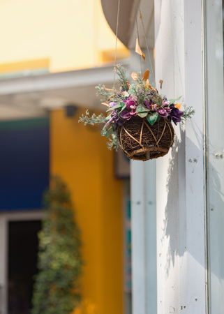 Colorful Hanging flower potの写真素材