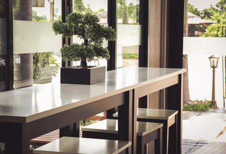 tree pots placed on the table of a coffee shopの写真素材