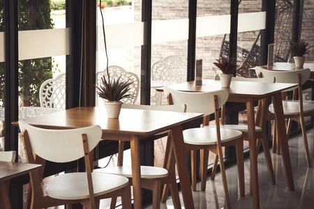 tree pots placed on the table of a coffee shop