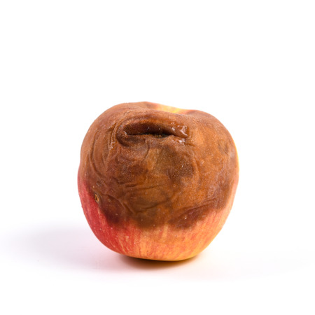 Apple rot on whiteの写真素材
