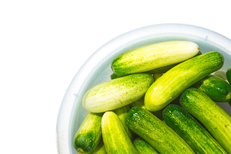 The green cucumbers in water on white backgroundの写真素材