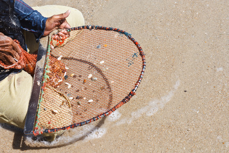 A thai fisherman is searching for shells (Pharella javanica) on the beach of thailandの写真素材
