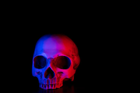 Halloween, Human skull on old wood table in front of black backgroundの写真素材