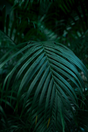 tropical palm leaf in green filter concept of ecology, nature background of green forest for...