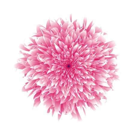 3d pink mandala flower vector illustration. Realistic floral blend design isolated on white background.のイラスト素材