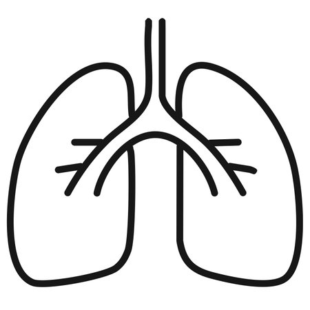 Lungs icon. Outline bronchitis vector symbol for web design isolated on white backgroundのイラスト素材