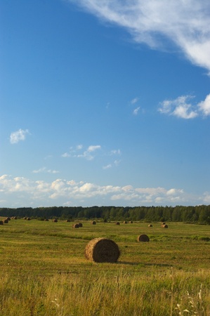Haystack in the field.の写真素材