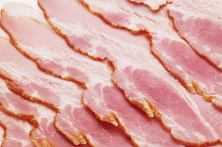Slices of bacon on a white background. Close-up.の写真素材