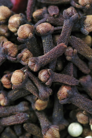 Cloves, close-up of a pile of dried cloves.の写真素材