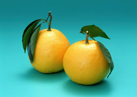 Two oranges with green leaves on a blue background, close-upの写真素材