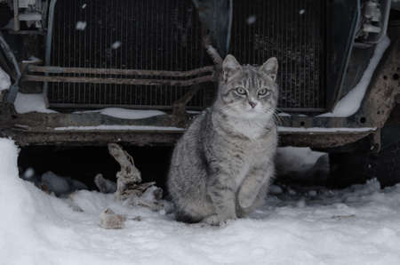 these are my photos for you to checkの写真素材