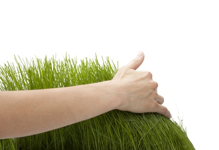 Hand above green grass の写真素材