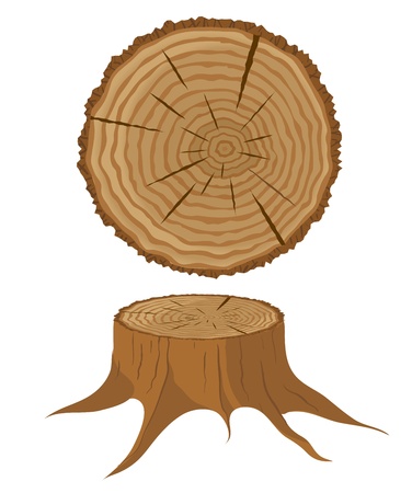 Cross section of tree and  stumpのイラスト素材
