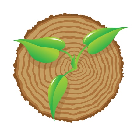 Tree stump and green plant shoot, vectorのイラスト素材