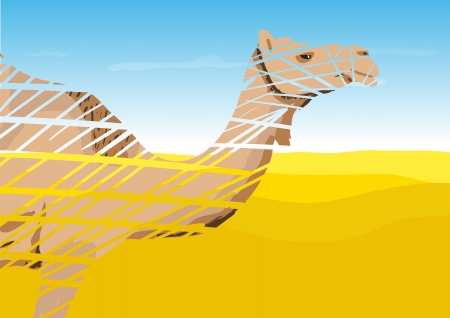Camel in the Desertのイラスト素材