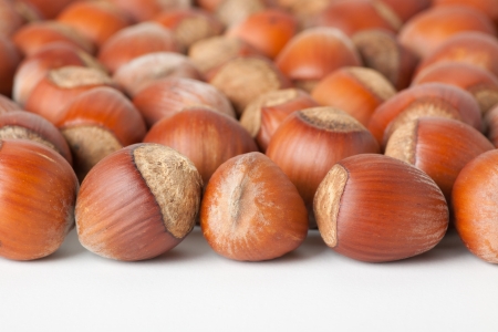 hazelnuts on white surfaceの写真素材