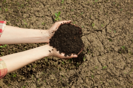 hands with black soilの写真素材
