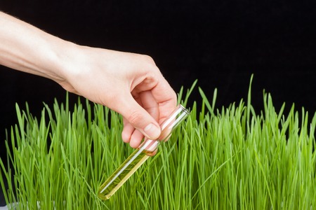 Hand with a test tube and grass. Fertilizerの写真素材