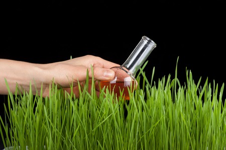 Hand with a test tube and grass. Fertilizerの写真素材