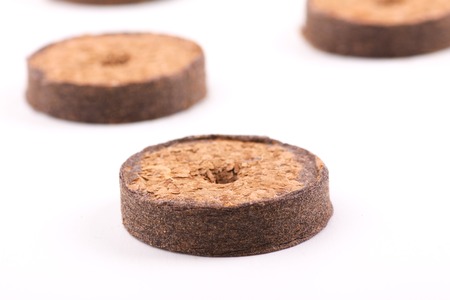 coconut tablets for growing plantsの写真素材