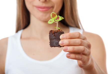 young woman holding plant, coleus sprout. Isolated on white backgroundの写真素材