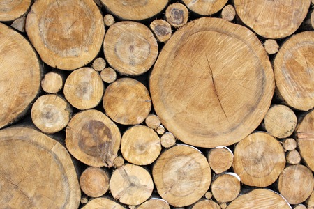 Stacked Logs, natural wood Backgroundの写真素材