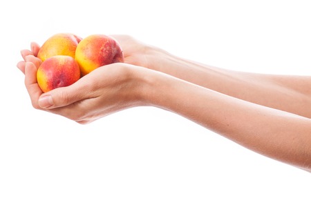 peaches in female hand, isolated on white backgroundの写真素材