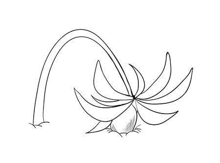 Curved coconut palmのイラスト素材