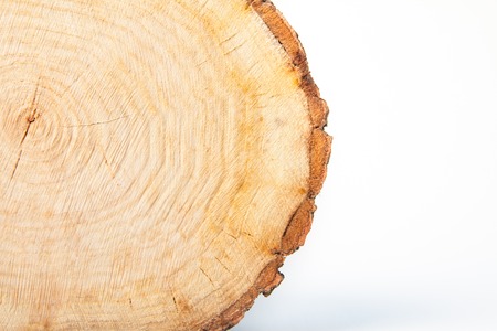 close-up wooden cut textureの写真素材