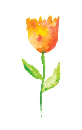 watercolor tulip flower, vector illustrationのイラスト素材