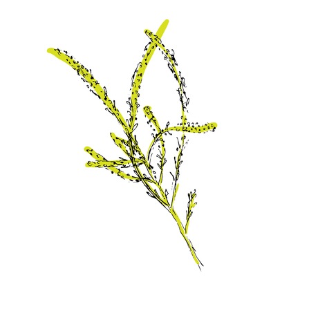 green branch of plant, vector illustrationのイラスト素材