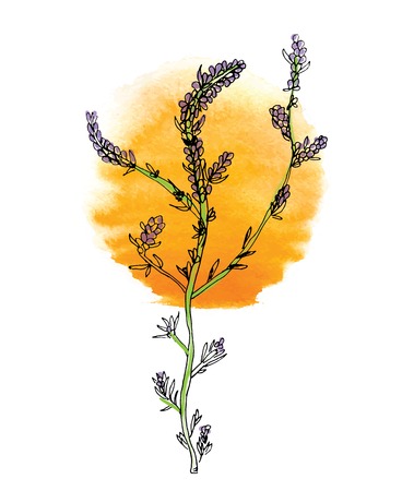 green branch of plant with flowers and sun, vector illustrationのイラスト素材