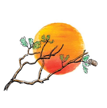 Branch of  oak tree against the sun, vector illustrationのイラスト素材