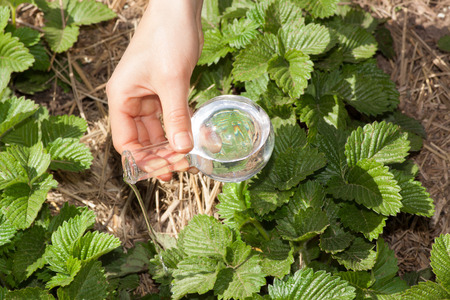 flask with clear water or fertilizer,  liquid in glassware