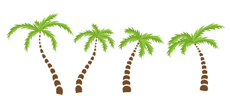Set of Palm trees, isolated vector illustrationのイラスト素材