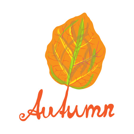 Hand-written word AUTUMN and yellow leaf, lettering. Vector illustrationのイラスト素材