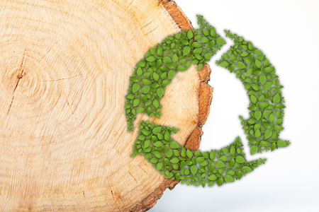 Cross section of tree trunk with recycle symbol, isolated on white backgroundの写真素材