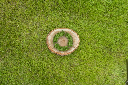 tree stump on the green grass with recycle symbol, top viewの写真素材