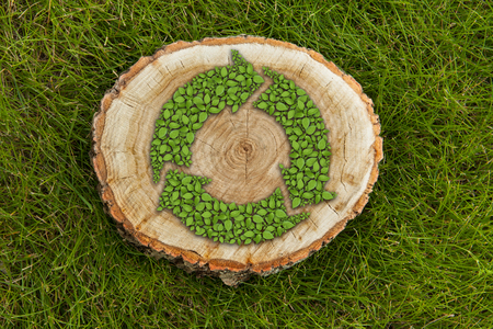tree stump on the green grass with recycle symbol, top viewの写真素材