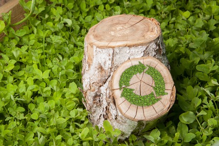 tree stump on the green grass with recycle symbolの写真素材