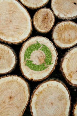 Stacked Logs with green plant recycle symbol, natural wood backgroundの写真素材