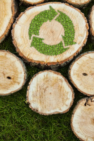 Tree stumps on the green grass with recycle symbolの写真素材